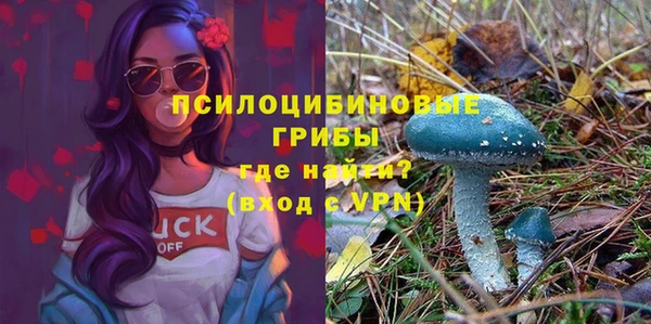 PSILOCYBIN Белокуриха